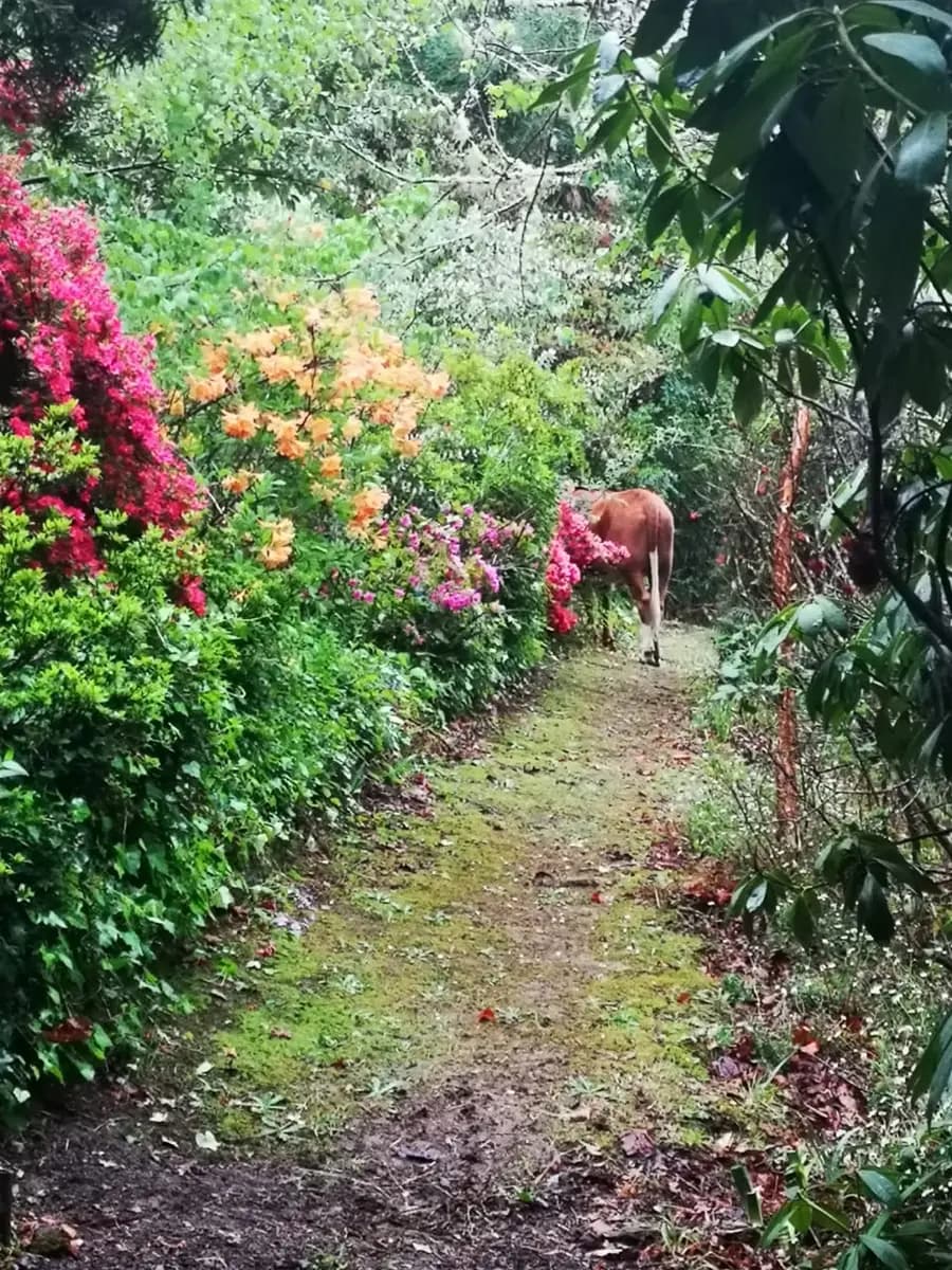 Ilifu Self Catering Cottages photo 5