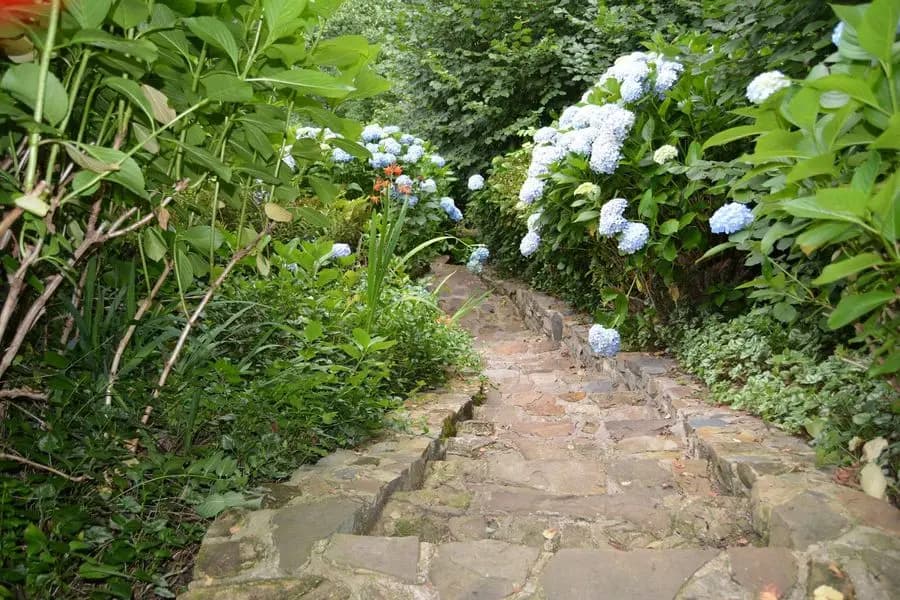 Bredon Cottage photo 3