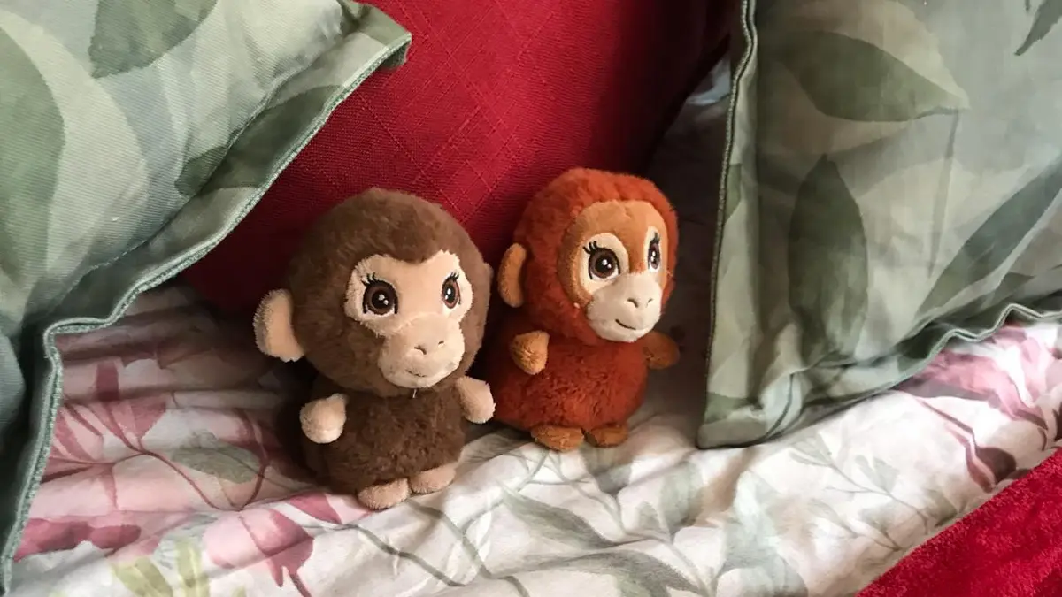 Monkey Hide photo 5