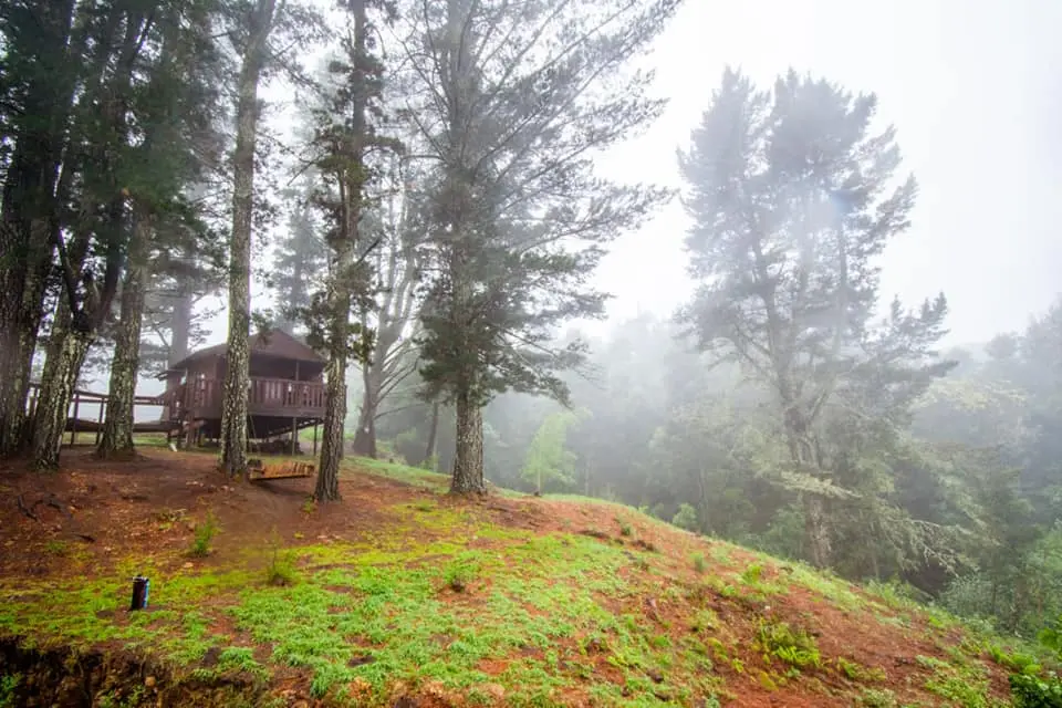 The Cabins Hogsback photo 4