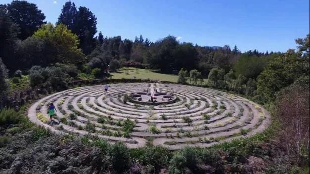 Labyrinth @ The Edge photo 2